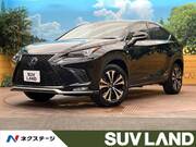 2018 LEXUS NX