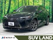 2019 LEXUS UX
