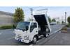 ISUZU OTHER