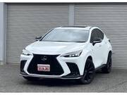 2024 LEXUS NX