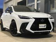 2022 LEXUS NX