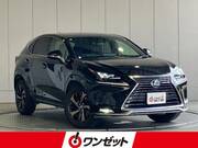 2021 LEXUS NX
