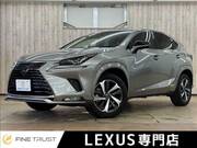2021 LEXUS NX