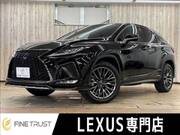 2019 LEXUS RX