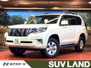 2023 TOYOTA LAND CRUISER PRADO TX