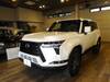LEXUS OTHER