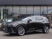2024 LEXUS NX