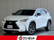 2016 LEXUS NX