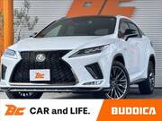 2021 LEXUS RX