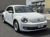 VOLKSWAGEN THE BEETLE