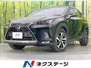 2018 LEXUS NX