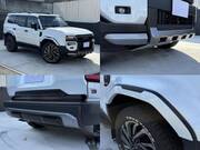 2024 TOYOTA LANDCRUISER 250