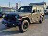 CHRYSLER JEEP WRANGLER