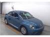 VOLKSWAGEN THE BEETLE