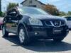 NISSAN DUALIS