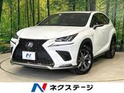 2020 LEXUS NX