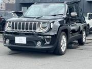 2019 CHRYSLER JEEP RENEGADE
