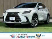 2023 LEXUS NX