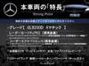 MERCEDES BENZ OTHER