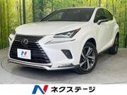 2020 LEXUS NX