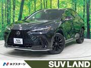 2022 LEXUS NX