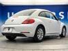 VOLKSWAGEN THE BEETLE
