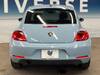 VOLKSWAGEN THE BEETLE