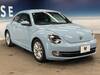 VOLKSWAGEN THE BEETLE