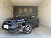 2016 LEXUS NX