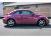 VOLKSWAGEN THE BEETLE