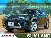 2019 LEXUS UX