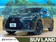 2024 LEXUS NX