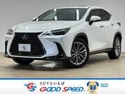 2023 LEXUS NX