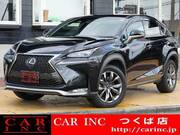 2016 LEXUS NX