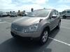 NISSAN DUALIS