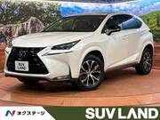 2017 LEXUS NX