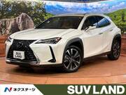 2020 LEXUS UX
