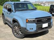 2024 TOYOTA LANDCRUISER 250