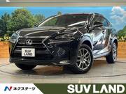 2016 LEXUS NX