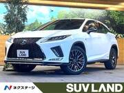 2019 LEXUS RX