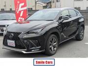 2019 LEXUS NX