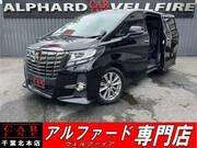 2017 TOYOTA ALPHARD