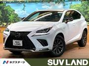 2020 LEXUS NX