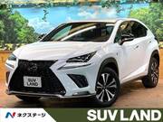 2018 LEXUS NX