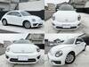 VOLKSWAGEN THE BEETLE