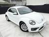 VOLKSWAGEN THE BEETLE