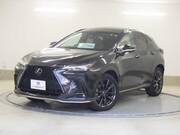 2022 LEXUS NX