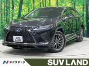 2020 LEXUS RX