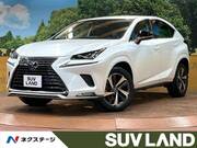 2020 LEXUS NX