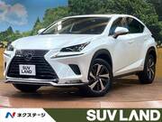 2020 LEXUS NX